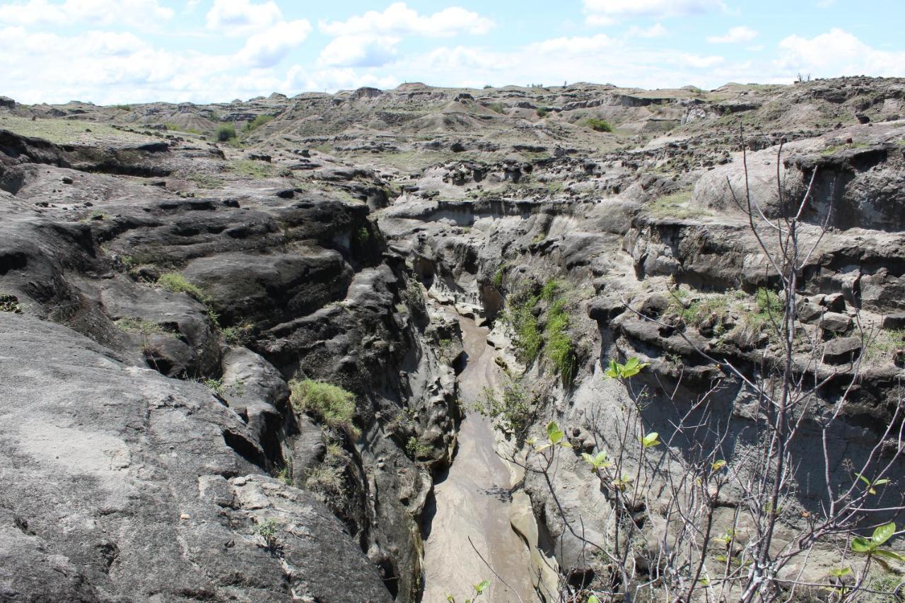 Pachingo Tatacoa Desert La Victoria  外观 照片